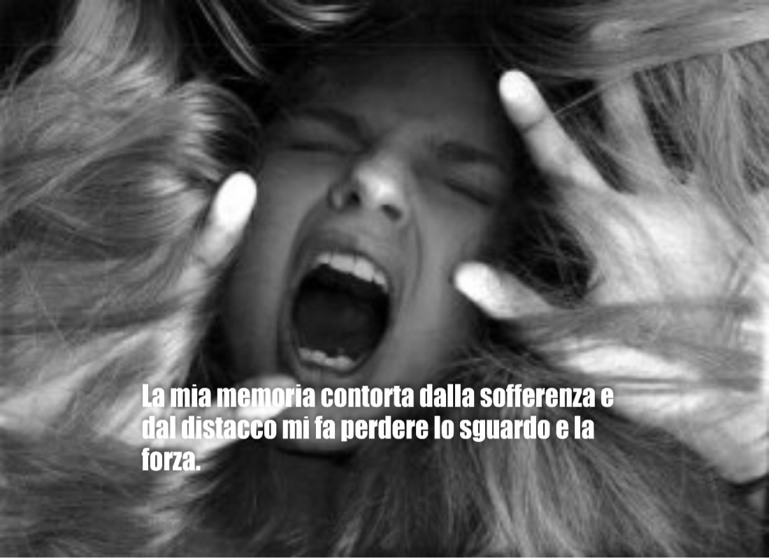 272B834F-E299-459D-981D-FD8F811C9C51