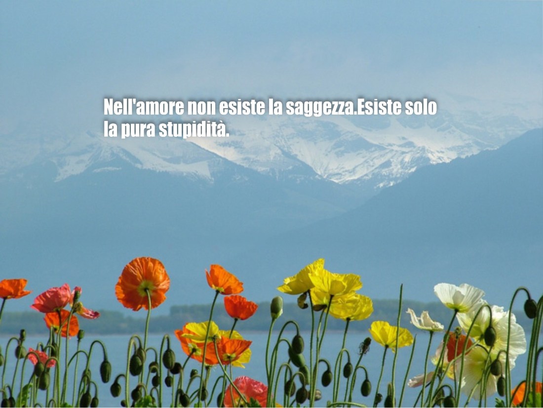 9BA2D084-E786-463E-BD0E-F60941FA2356