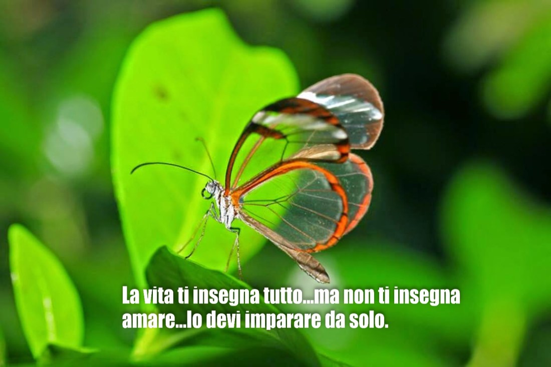 D2C75734-15AC-4196-B3B6-0C7916E133DF