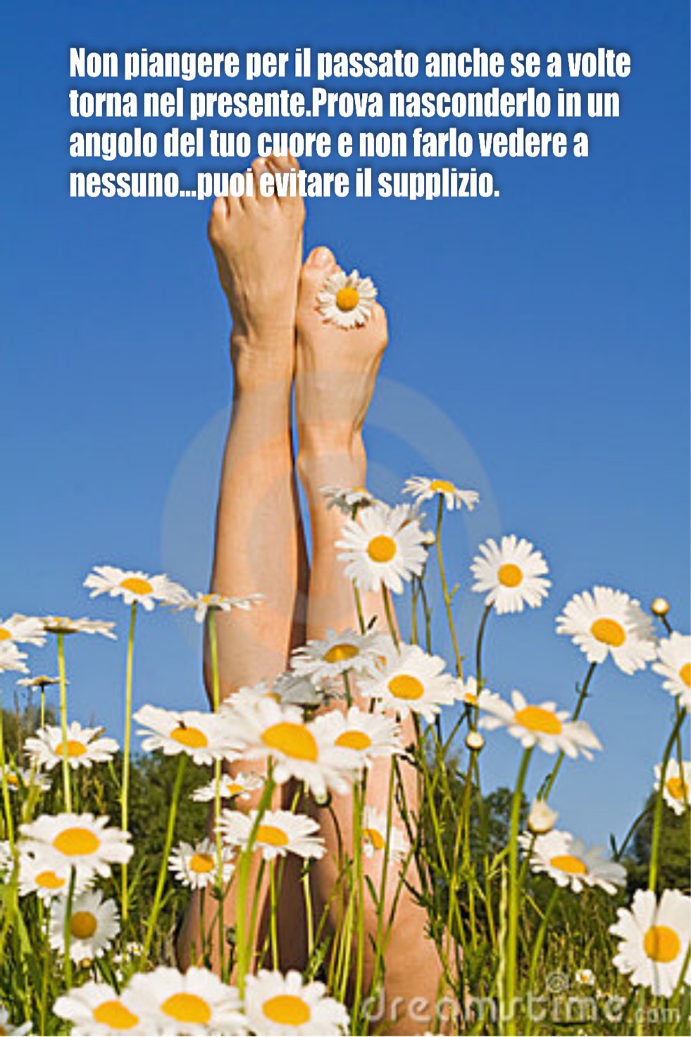 F933B728-0D72-44A7-88C6-53463D2AEE6F